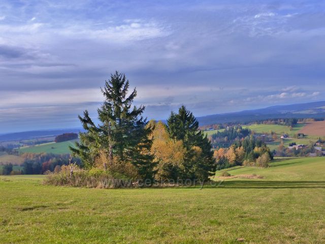 České Petrovice - remízek na pastvině na úbočí Adamu
