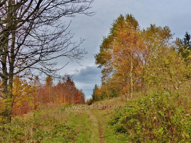České Petrovice - vrstevnicová cesta po červené TZ po úbočí přední části masivu vrchu Adam