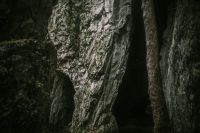 NPR Býčí skála, vstup do jeskyně Kostelík