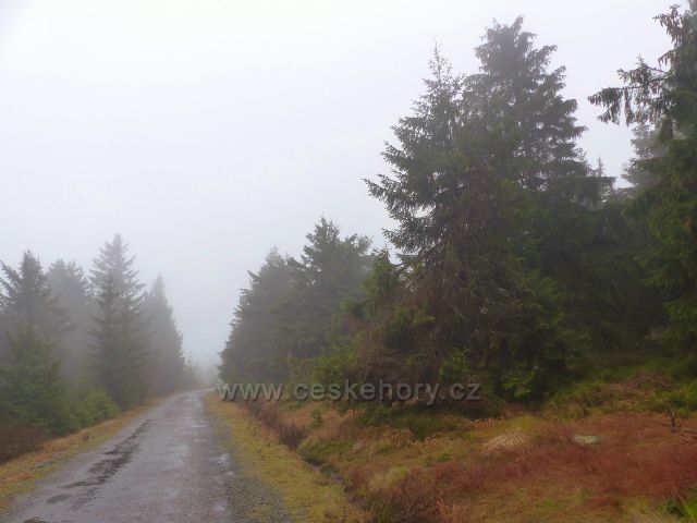 Orlické hory - cestu na Velkou Deštnou provází mlha