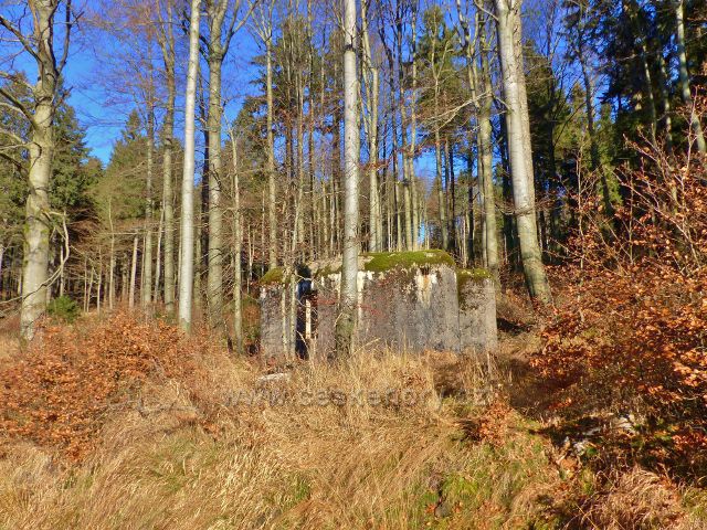 Orlické hory - Řopík C/99/A-120 u křižovatky lyžařských tras