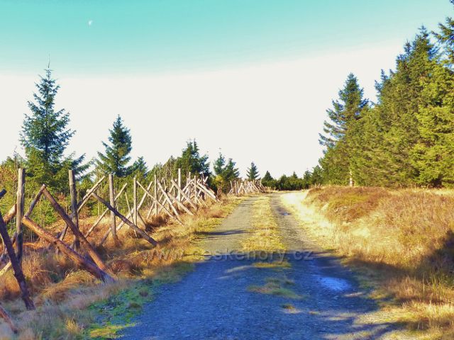 Orlické hory - Bunkrovka pod samotným horským hřebenem převyšuje výšku 1000 m.n.m.Vlevo oplocenka,chránící smrkovou kulturu vysazenou místo nepůvodní kleče.