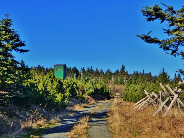 Orlické hory - posed pod vrcholem Koruny