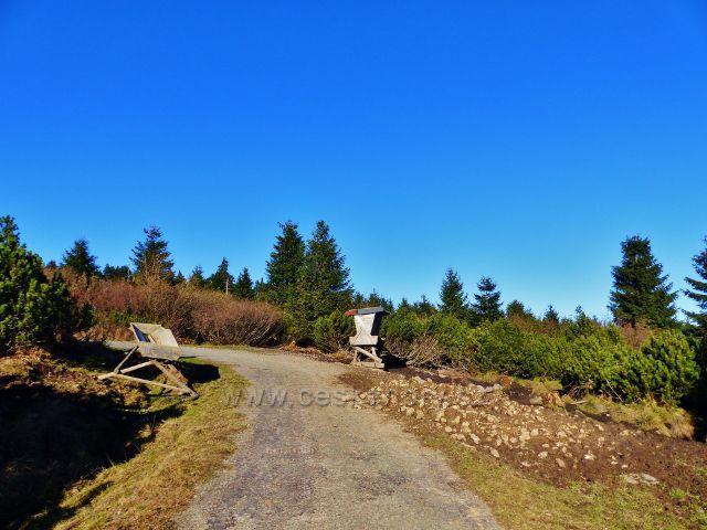 Orlické hory -krmeliště s řepou a krmítkem před posedem pod vrcholem Koruny