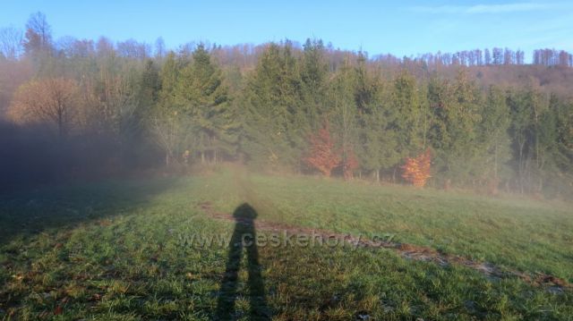 cestou na Petřkovickou horu