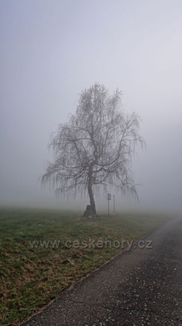 cestičkou přes Holivák