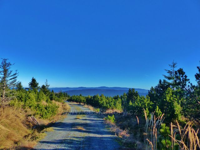 Orlické hory - Bunkrovka před vrcholem Koruny