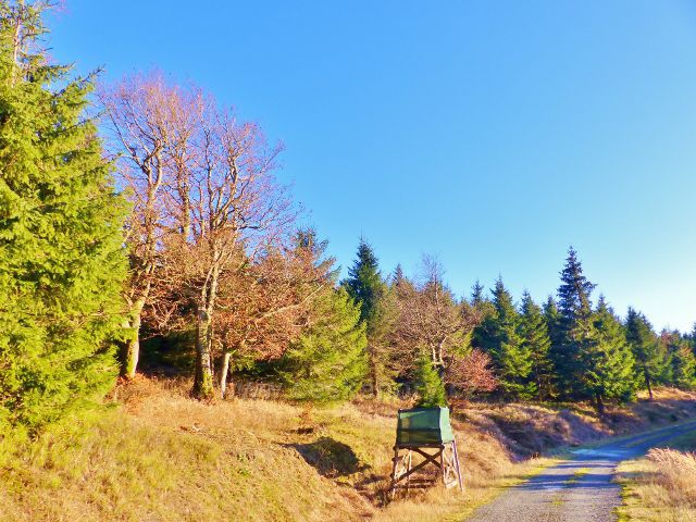 Orlické hory - posed pod sedlem mezi Homolí  Tetřevcem