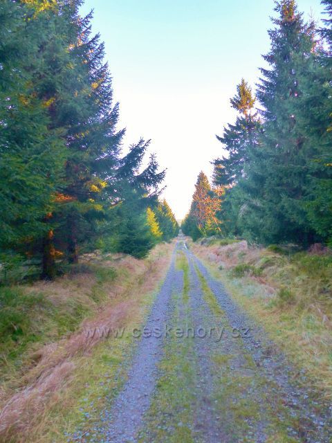 Orlické hory Jiráskova cesta z Pěticestí na Mezivrší