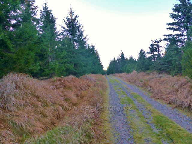 Orlické hory - Jiráskova cesta z Pěticestí na Mezivrší