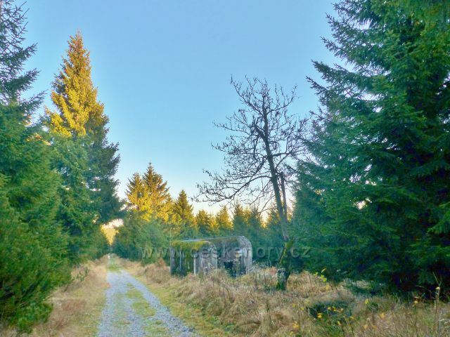 Orlické hory - Řopík B/317 u Jiráskovy cesty