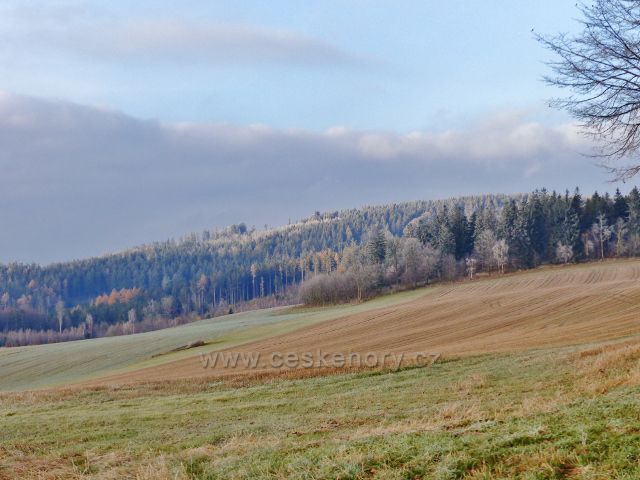Vlčkovice - pohled od vrcholu Kostelního vrchu na zalesněné úbočí Adamu(765 m.n.m.)