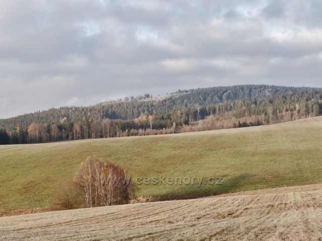 Vlčkovice - pohled z úbočí Kostelního vrchu na ojíněný lesní porost na Adamu