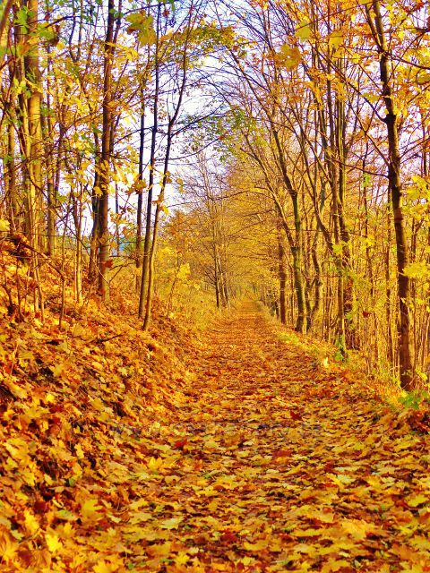 Lanšperk "zlatá" cesta k Božím mukám na Kopanině