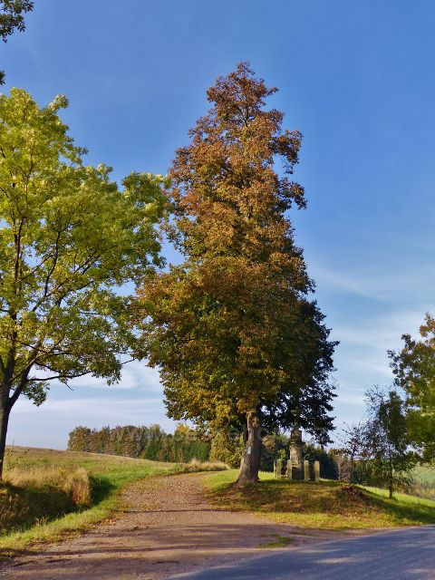Mistrovice - Boží muka u silnice "ke sloupku" a u odbočky cesty do Jablonského lesa