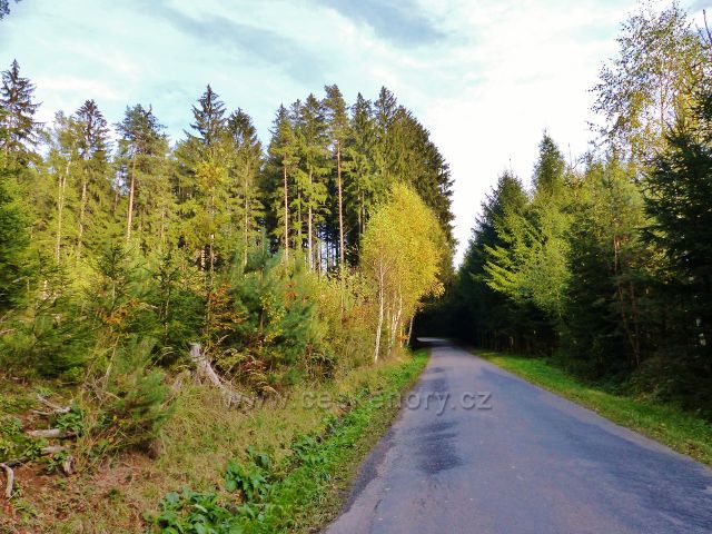 Sobkovice - silnička "od sloupku" prochází lesem po úbočí Černého kopce