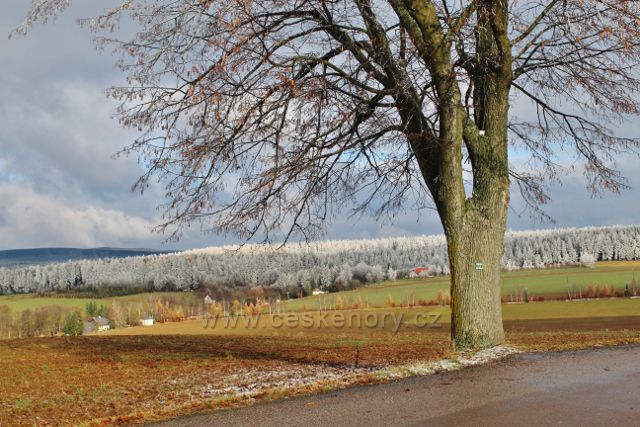 Bubnov - přes Zmrzlík vede zelená TZ do Žamberských lesů a Bartošovic v Orlických horách