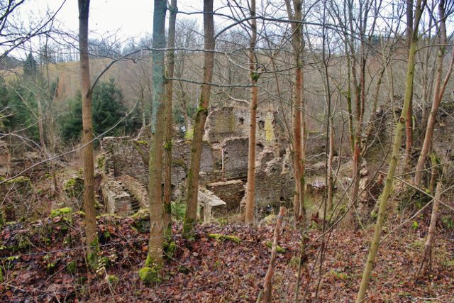 Niemojów - ruiny zámečku, který byl až do roku 1945 v držení šlechty