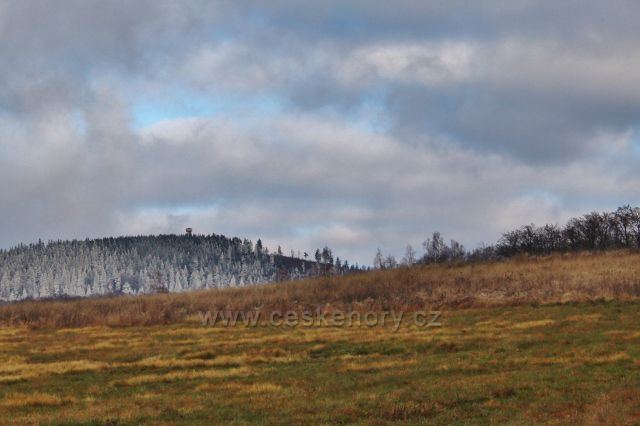 Niemojów - pohled na novou rozhlednu na vrchu Czerniec (841 m.n.m.)