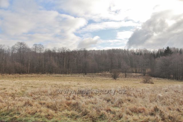 Niemojóv - podmáčené pastviny nad obcí