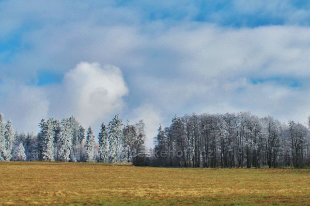 Nuemoj´w - pastviny nad obcí podél trasy po černé TZ