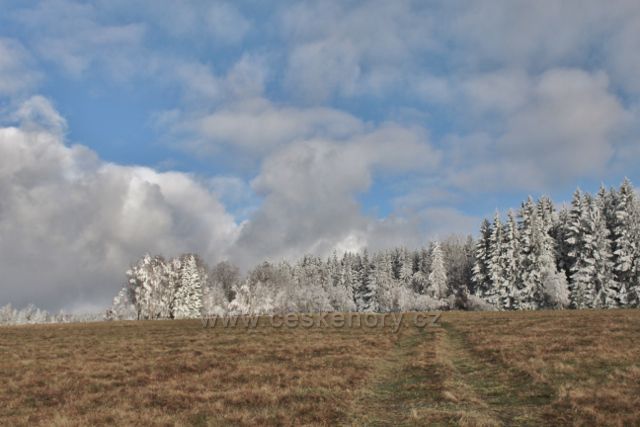 Niemojów - cesta po černé TZ k rozhledně Czerniec