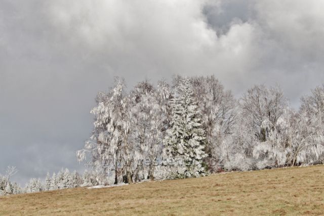 Niemojów -horní okraj pastvin nad obcí