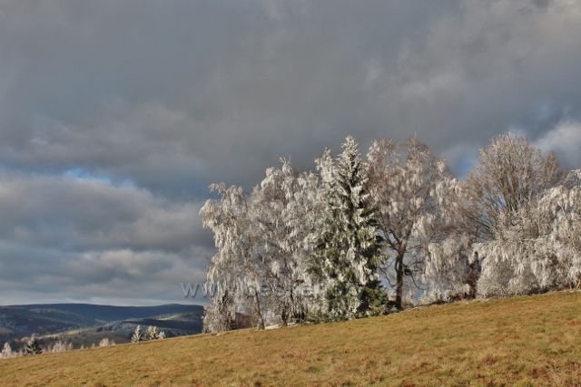 Niemojów - pohled z pastviny nad obcí k Orlickým horám v nichž vyčnívá Anenský vrch s rozhlednou