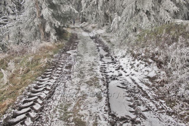 Niemojów - zamrzlá cesta k rozhledně Czerniec