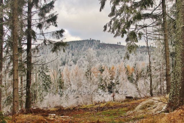 Niemojów - průhled k rozhledně Czerniec