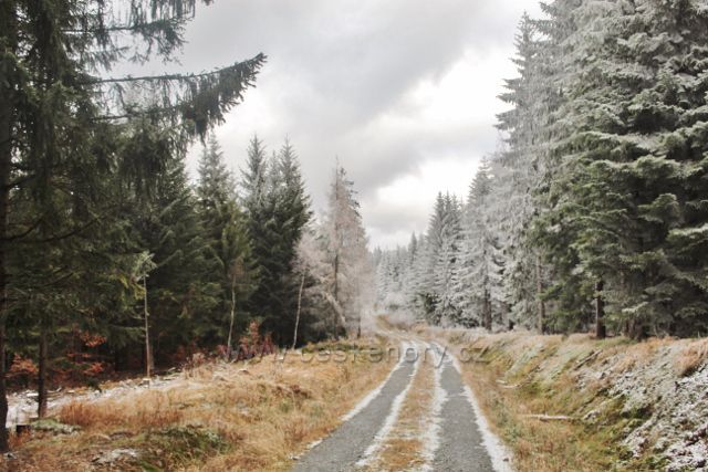 Niemojów - cesta po černé TZ k rozhledně Czerniec
