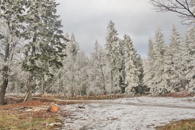 Niemojów - rozcestí pěti cest. odtud cesta k rozhledně Czernoec pokračuje po žluté TZ