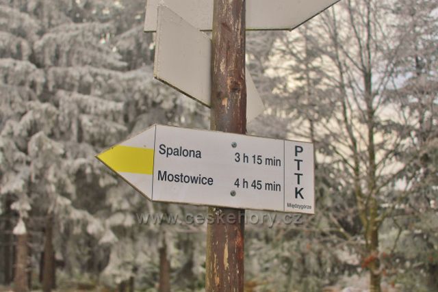 Niemojóv - rozcestník PTTK na rozcestí pěti cest na trase k vrchu Czerniec