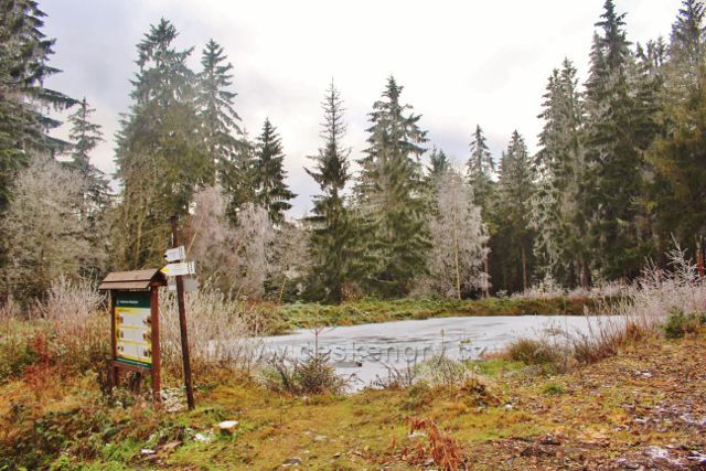 Niemojów - jezírko u rozcestí pěti cest na trase k rozhledně Czerniec