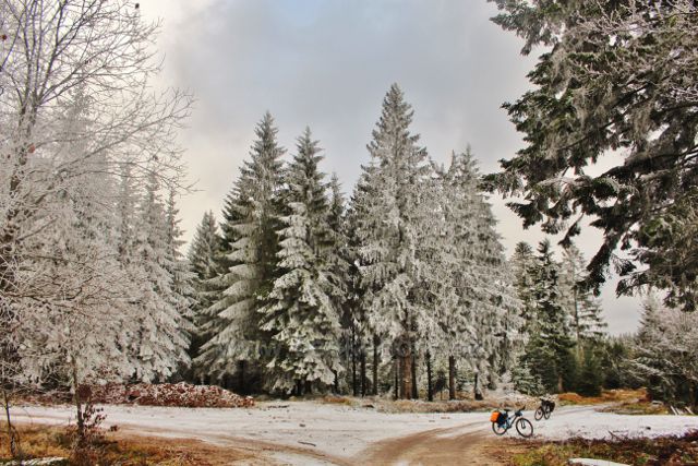 Niemojów - rozcestí pěti cest