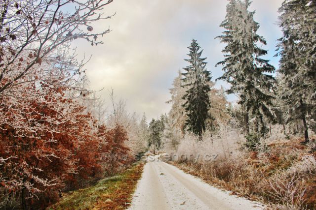 Niemojów - z rozcestí pěti cest pokračuje trasa k rozhledně Czerniec po žluté TZ