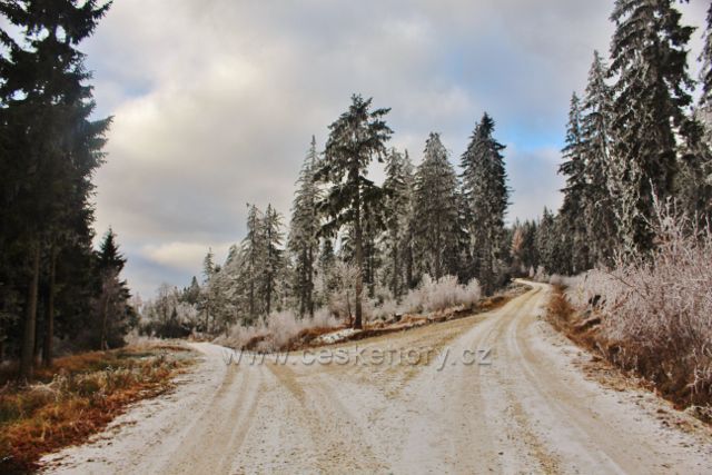 Niemojów - cesta po žluté TZ na vrchol Czerniece odbočuje vpravo