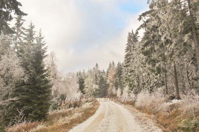 Niemojów - cesta na vrch Czerniec
