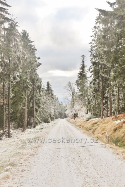 Niemojóv - zpětný pohled na cestu k vrcholu Czerniece nese stopy postupující zimy až do nadmořské výšky cca 830 m.n.m.