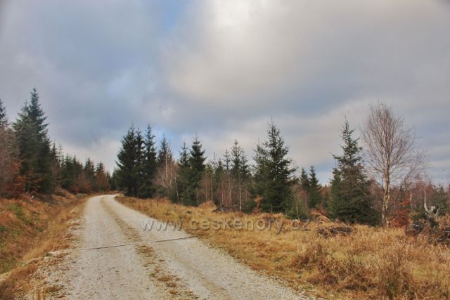 Niemojów - cesta po žluté TZ po plochém vrcholu  vrchu Czerniec