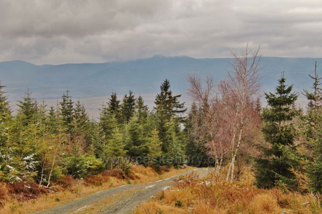 Niemojów - poslední metry cesty k rozhledně Czerniec