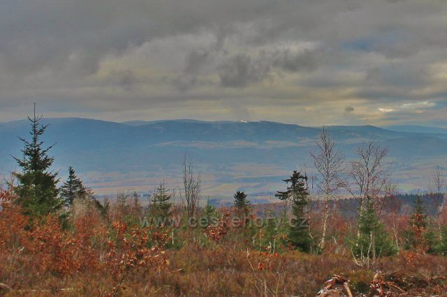 Niemojów - pohled od rozhledny Czerniec k masivu Králického Sněžníku.Na obzoru je vidět sjezdovku na Slamníku nad Dolní Moravou
