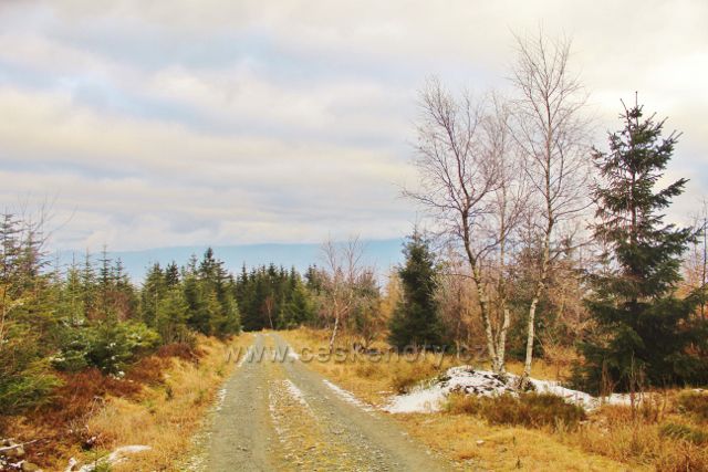 Niemojów - cesta po žluté TZ pár metrů před rozhlednou Czerniec