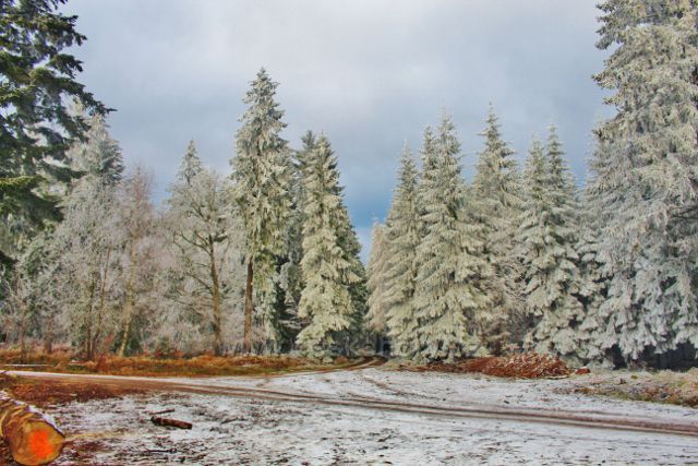 Niemojów - rozcestí pěti cest