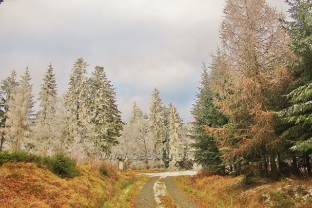Niemojów - cesta po černé TZ pod rozcestím pěti cest