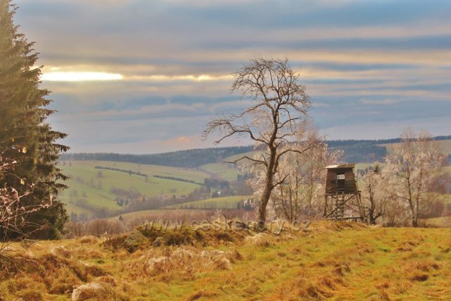 Niemojóv - posed nad pastvinou  pod okrajem lesa. Vzadu je vidět úbočí Předního kopce.
