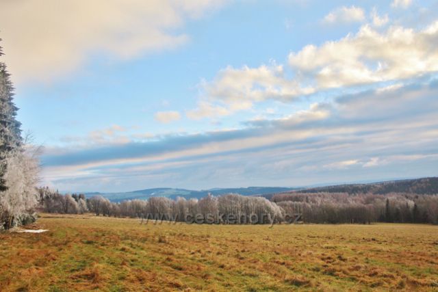 Podmáčené pastviny nad obcí Niemojów