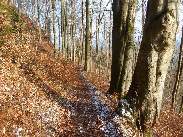 Žampach - přístupová stezka na hradní zříceninu na vrchu Žampach