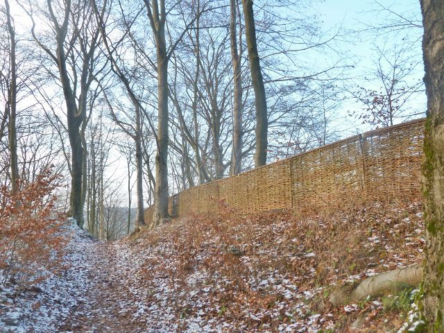 Žampach - stezka ke středu hradní zříceniny vede podél proutěšného plotu