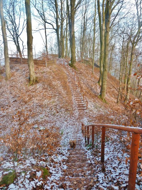 Žampach - jednotlivé části areálu hradní zří ceniny spojují schody